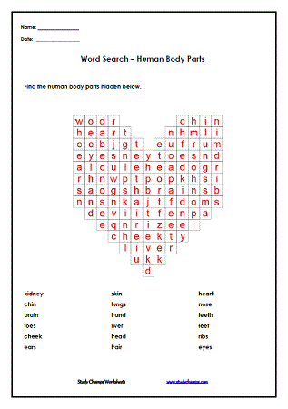 Human Body Parts Worksheet